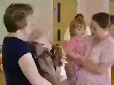 Little Acorns